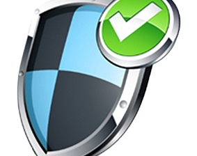 training_shield